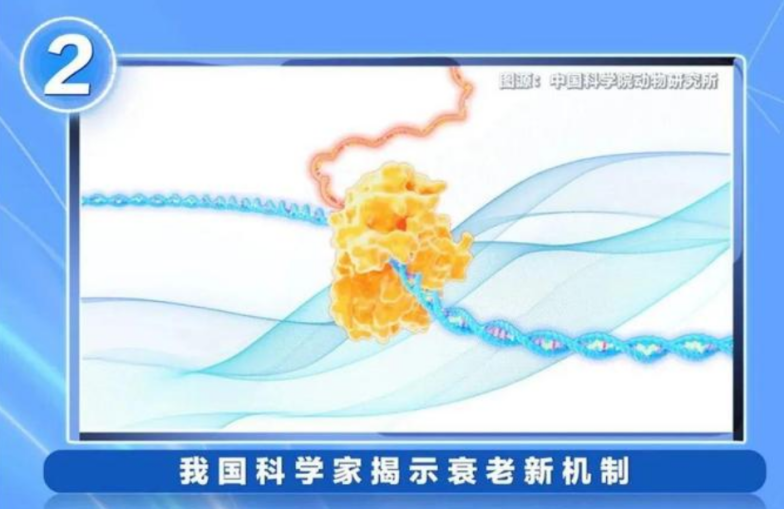 1703844166931620.png 1703844166931620.png